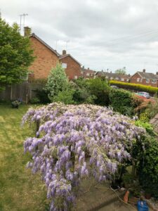 14 Lambourne Drive, Hutton, CM13 1QP